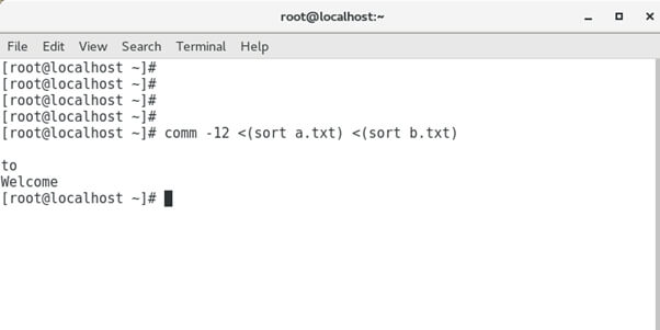 Linux essentials