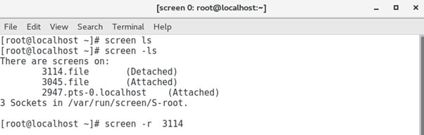 Linux essentials