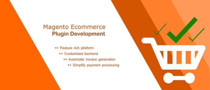 Magento ecommerce online store