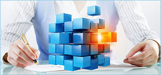 Software Maintenance & Support
