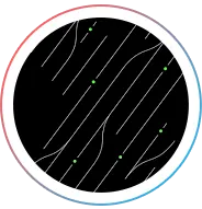 Process Mining and Discovery
